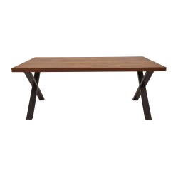 NEVADA EETKAMERTAFEL X-POOT 160 cm